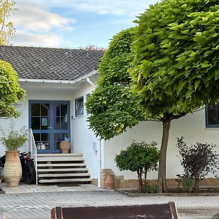 Gaestehaus Eschment Bissersheim Exteriör bild